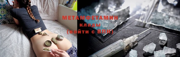 прущие грибы Беломорск