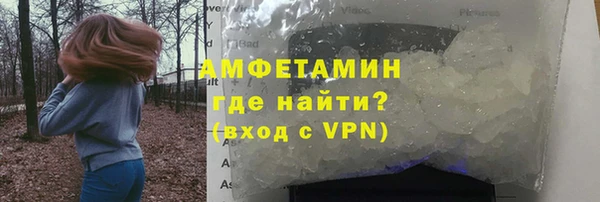 прущие грибы Беломорск