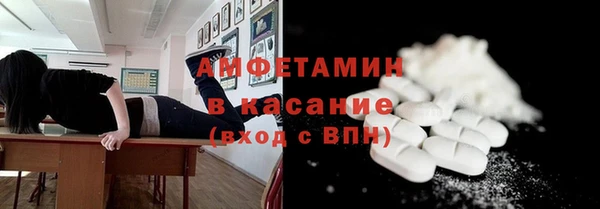 прущие грибы Беломорск