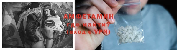 прущие грибы Беломорск