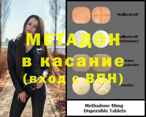 прущие грибы Беломорск