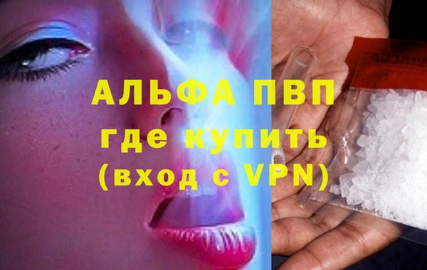 прущие грибы Беломорск