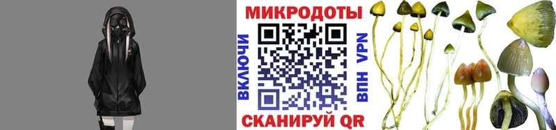 Псилоцибиновые грибы мицелий  Красноармейск 